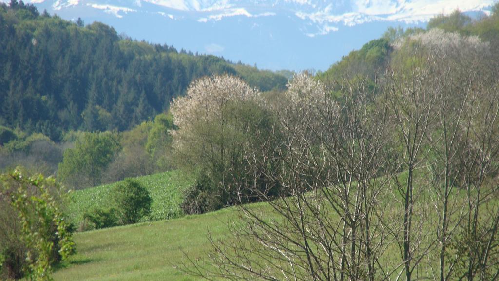 Gite Du Paradis Vieuzos Exteriér fotografie